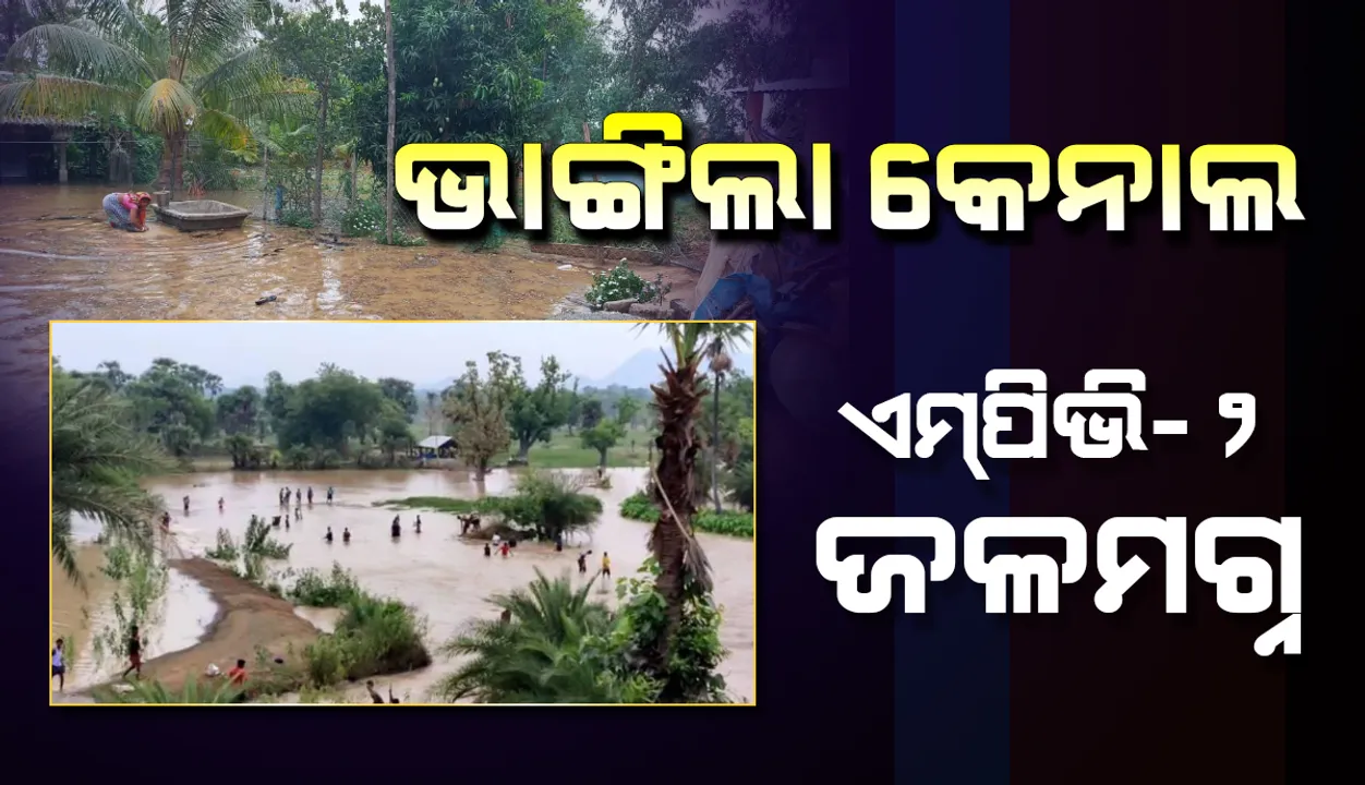  ତାମସା ମୁଖ୍ୟ କେନାଲ ଭାଙ୍ଗିଲା; ଲକ୍ଷାଧିକ ଟଂକାର ଫସଲ ନଷ୍ଟ, ଏମପିଭି-୨ ଗ୍ରାମ ଜଳମଗ୍ନ