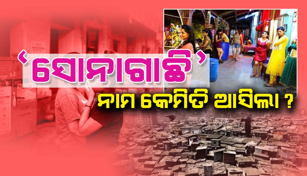  ଦେହ ବ୍ୟବସାୟର ଚର୍ଚ୍ଚିତ ସ୍ଥାନ ସୋନାଗାଛିରେ ଥିଲା କି ସୁନା ଗଛ? ଜାଣନ୍ତୁ ଏହି ନାମକରଣ ପଛର ରହସ୍ୟ