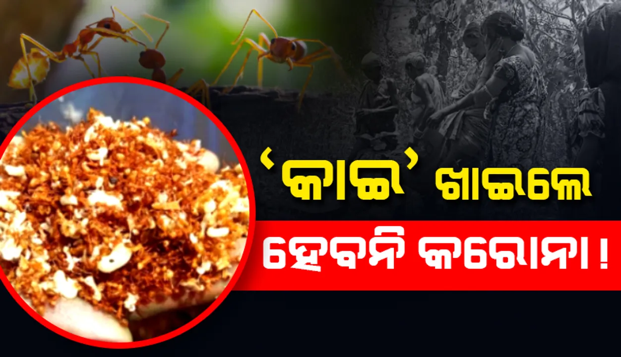  Sambad 