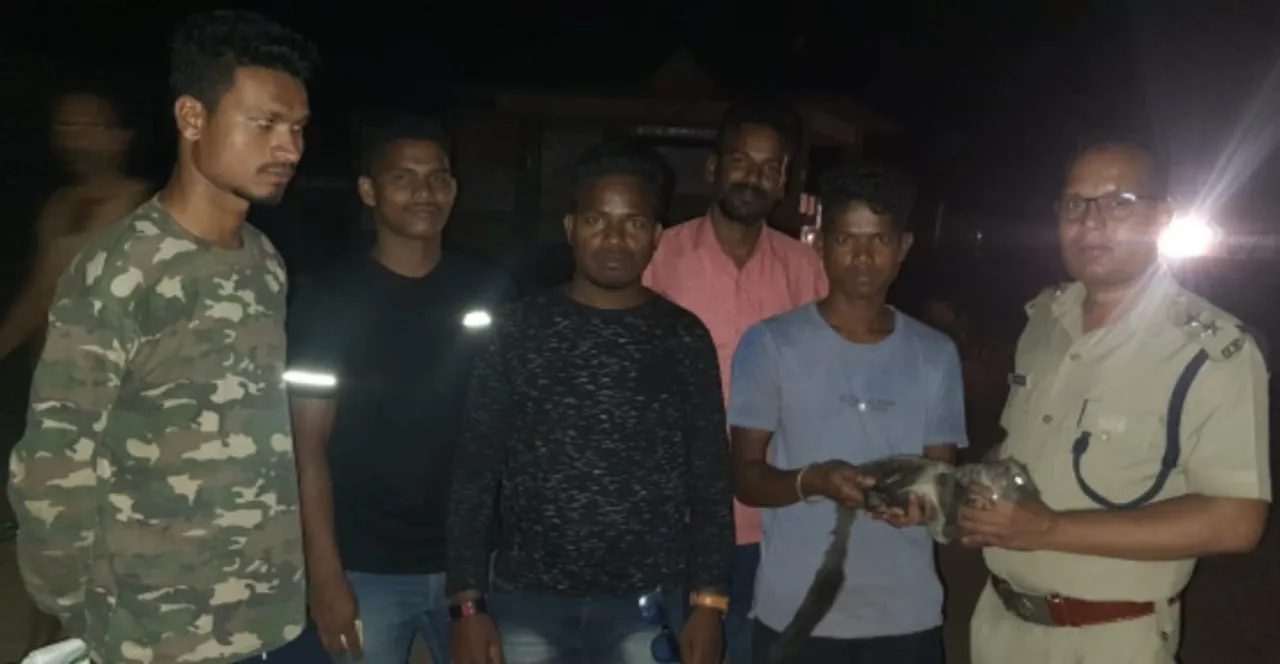  ବିରଳ ପ୍ରଜାତିର ଗୁଣ୍ଡୁଚି ମୂଷା ଉଦ୍ଧାର, ବନ ବିଭାଗକୁ ହସ୍ତାନ୍ତର