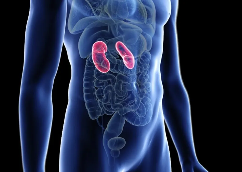  
Endocrinology Advisor 