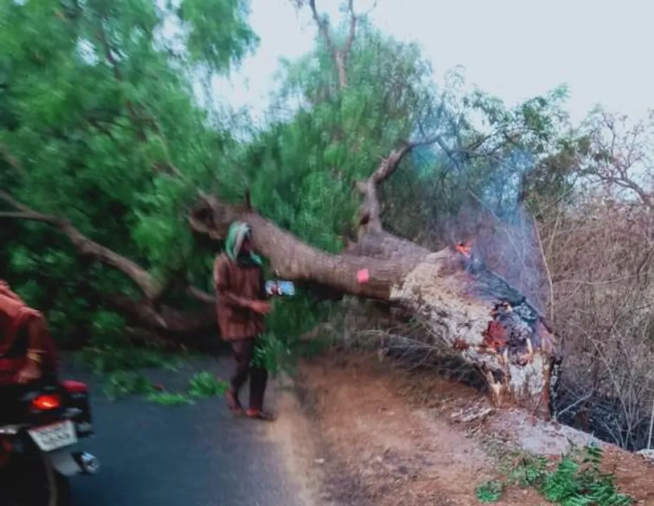  ସଇନ୍ତଳା : ଜଳନ୍ତା ଗଛ ପଡ଼ି ରାସ୍ତା ବନ୍ଦ, ଯାତାୟାତ ବାଧାପ୍ରାପ୍ତ