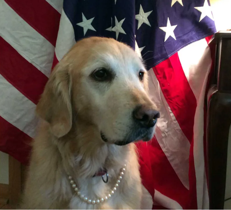  asgoodasgold.org 
