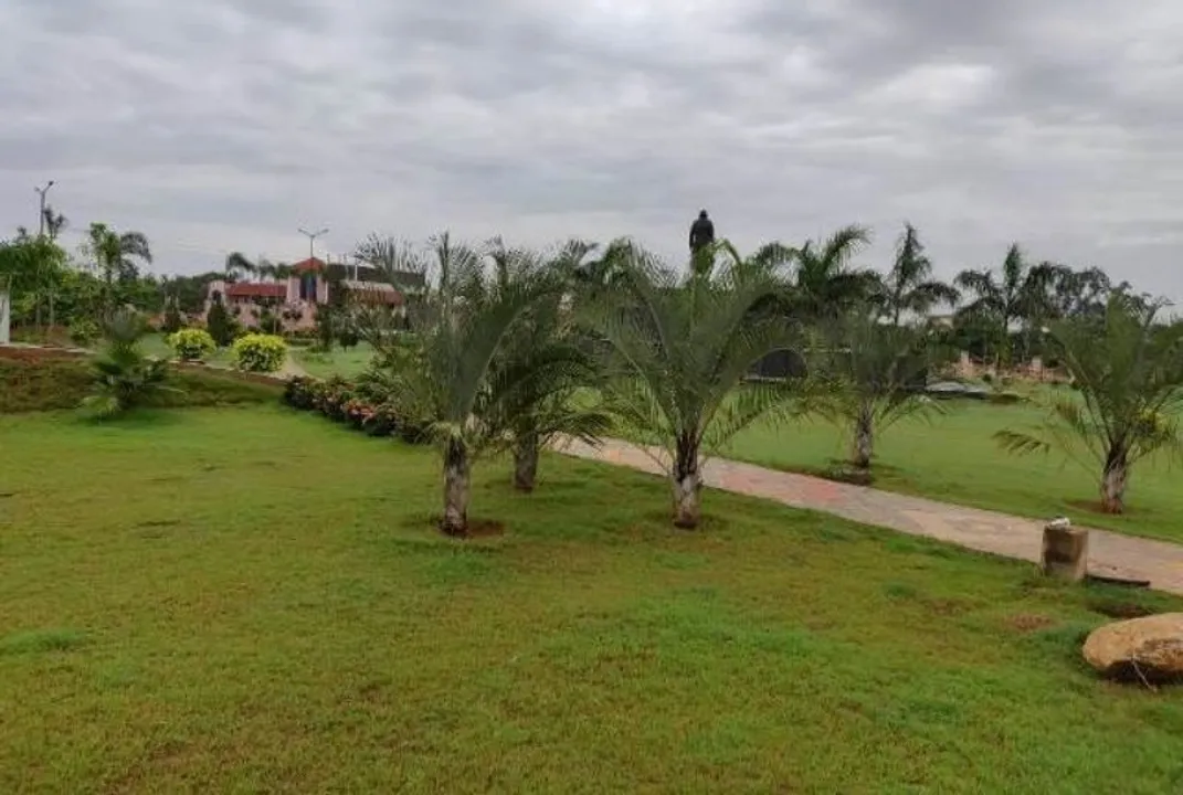  Sambad 
