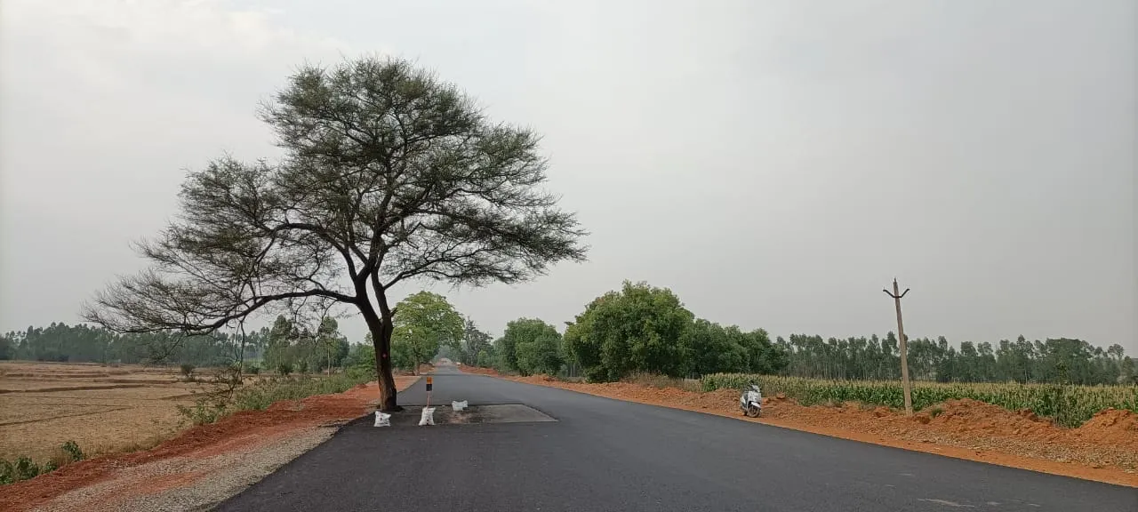  ଗଛ ଓ ବିଦ୍ୟୁତ ଖୁଣ୍ଟ ନ ହଟାଇ ଚାଲିଛି ଏନଏଚ୍ ପ୍ରଶସ୍ତିକରଣ