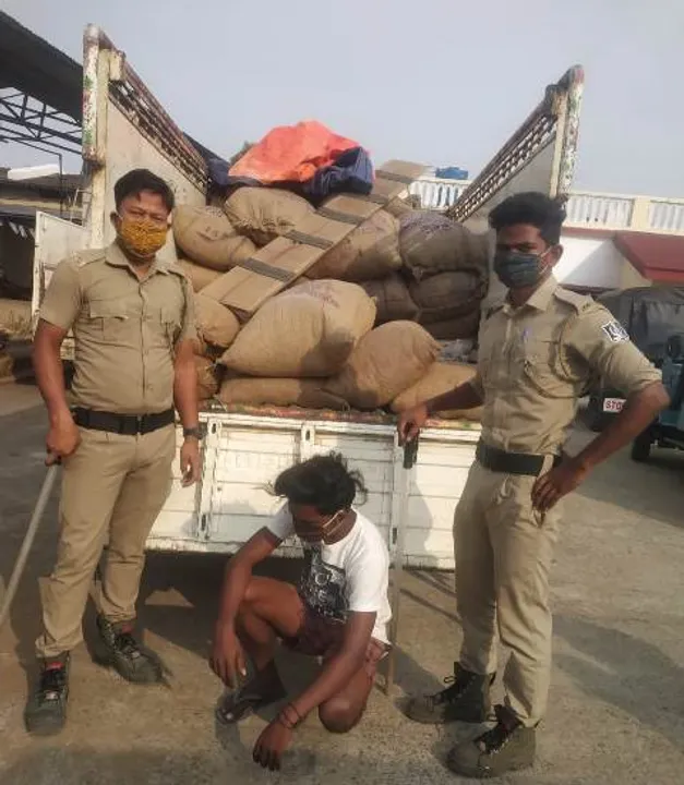  ୭୪ କ୍ବିଣ୍ଟାଲ ମହୁଲ ଫୁଲ ସହ ୨ ବଲେରୋ ଜବତ: ୩ ଗିରଫ