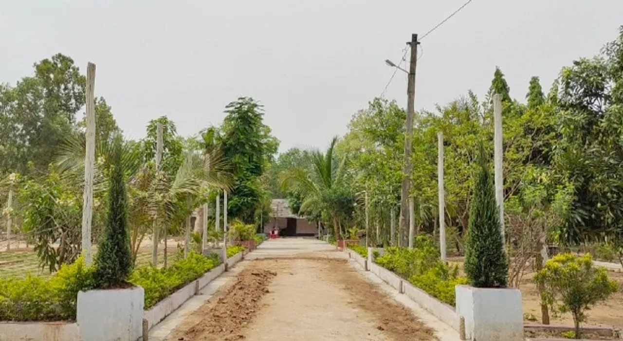  ବଣ ମୁଲକର ବିଦ୍ୟାଳୟ: ପଛୁଆ ଅଞ୍ଚଳର ଆଗୁଆ ସ୍କୁଲ୍‌