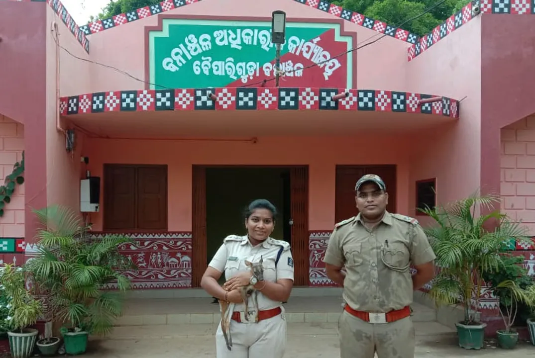  ଆହାତ ଅବସ୍ଥାରେ ହରିଣ ଛୁଆ ଉଦ୍ଧାର