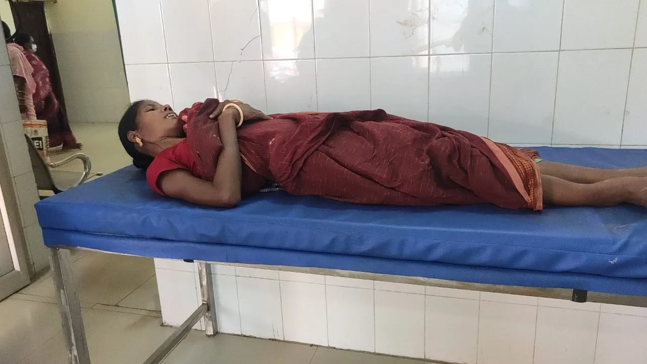  ହାତୀ ଆକ୍ରମଣରେ ଦିବ୍ୟାଙ୍ଗ ମହିଳା ଗୁରୁତର, ଅଳ୍ପକେ ବର୍ତ୍ତିଲେ ମା