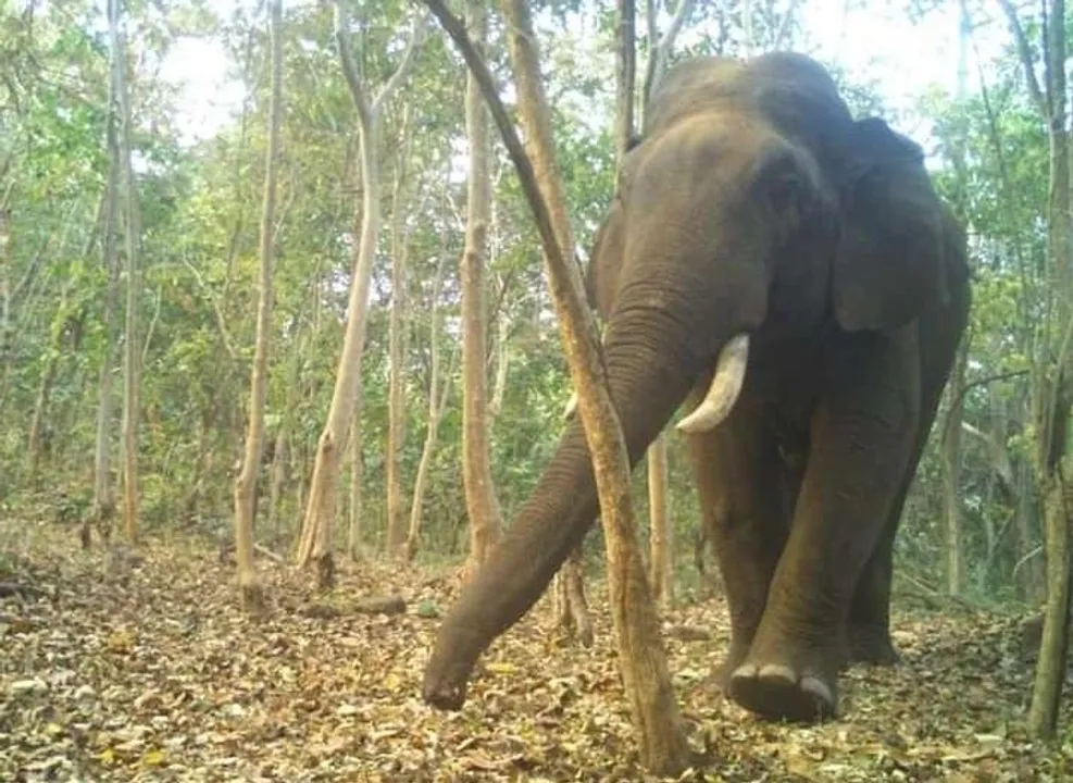  Photo: Anand Chandra Mohanty  