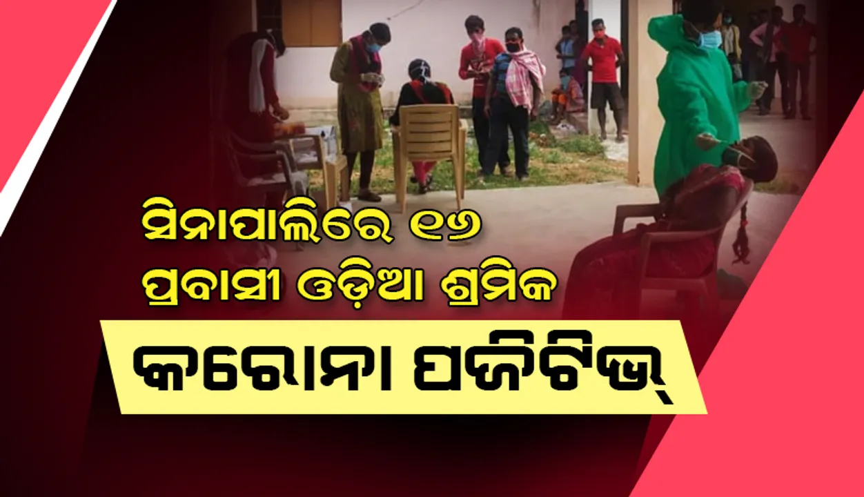  ସିନାପାଲିରେ ୧୬ ଜଣ ପ୍ରବାସୀ ଓଡ଼ିଆ ଶ୍ରମିକ କରୋନା ପଜିଟିଭ ଚିହ୍ନଟ