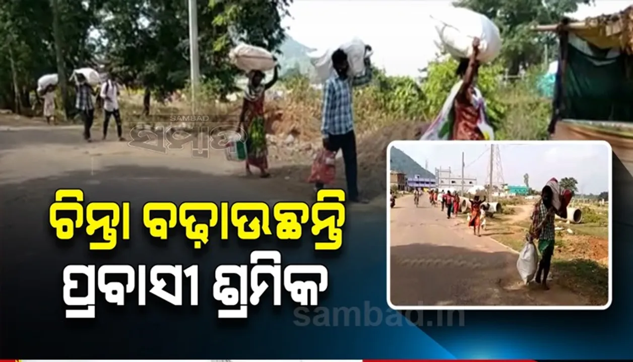  ସୀମାରେ ଜଗିଛି ପୁଲିସ, ଗଳାବାଟ ଦେଇ ଗାଁକୁ ଫେରୁଛନ୍ତି ପ୍ରବାସୀ