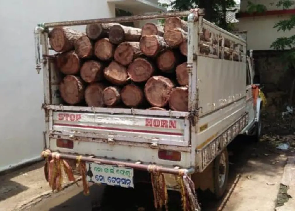  ଚୋରା ଶାଳ କାଠ ସହ ଗାଡ଼ି ଜବତ, ଜଣେ ଗିରଫ