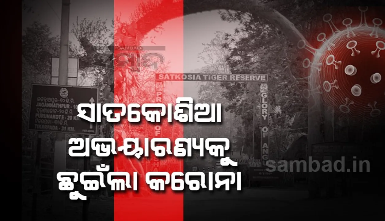  ସାତକୋଶିଆ ଅଭୟାରଣ୍ୟକୁ ଛୁଇଁଲା କରୋନା,୧୦ବନ କର୍ମଚାରୀ ପଜିଟିଭ