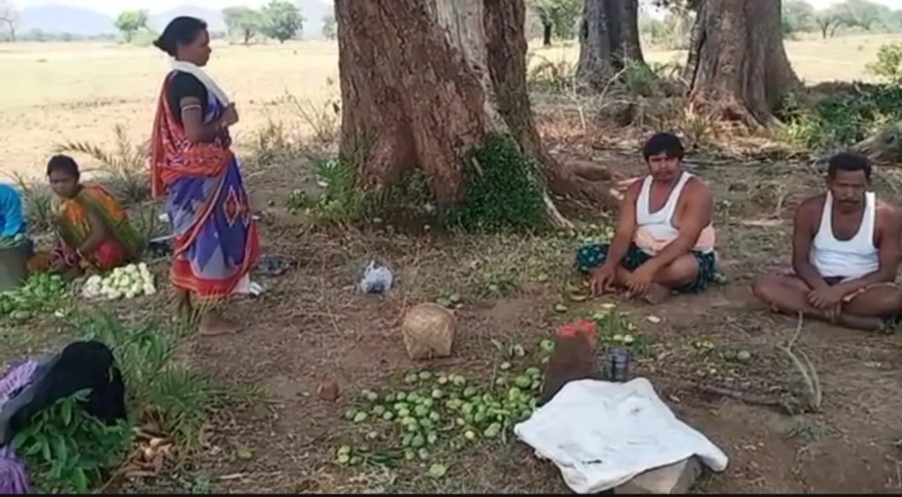  ଲୋକଙ୍କ ସେବାରେ ବ୍ରତୀ ଥିବା ଆଦିବାସୀ ମହିଳାଙ୍କ ପାଇଁ ସରକାରୀ ଯୋଜନା ଅପହଞ୍ଚ
