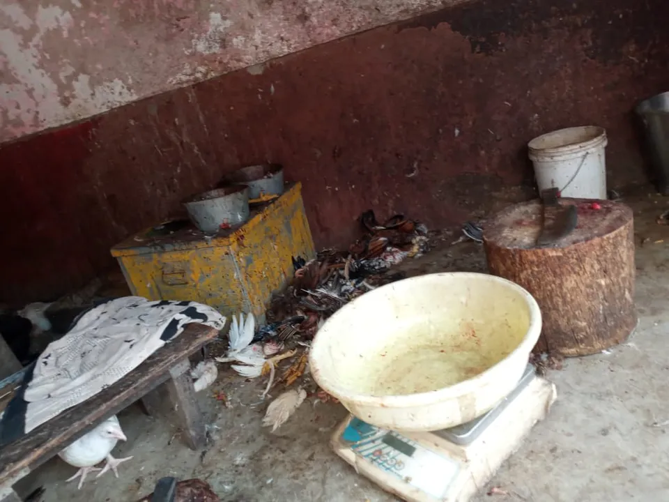  ମାଛ, ମାଂସ ଦୋକାନ ଓ ଢ଼ାବା ସିଲ୍ 