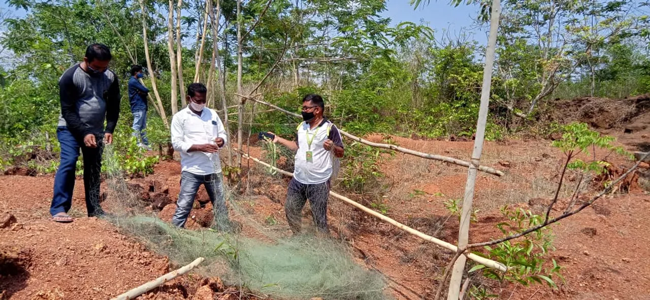  ଅଜଗର ସାପ ଅଣ୍ଡାର ସୁରକ୍ଷା ବ୍ୟବସ୍ଥା କଡ଼ାକଡ଼ି କଲା ବନବିଭାଗ 