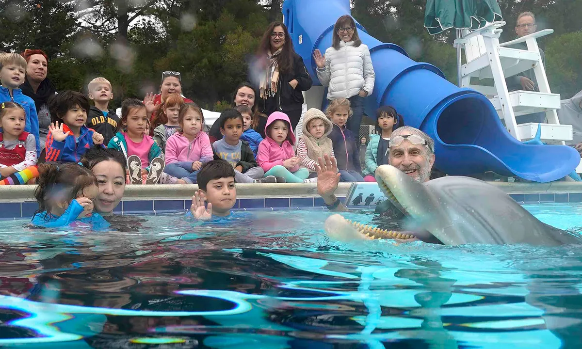  Photo-Peta Twitter 