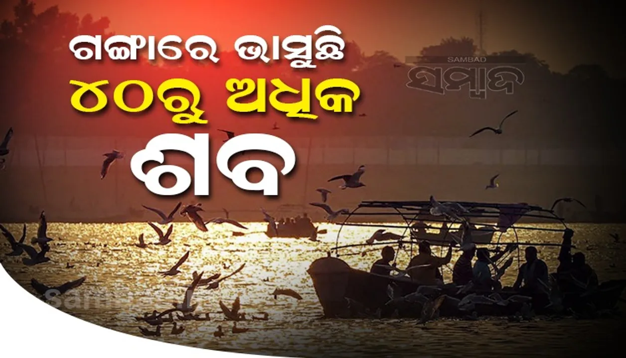  ଗଙ୍ଗାରେ ଭାସୁଛି ୪୦ରୁ ଅଧିକ ଶବ