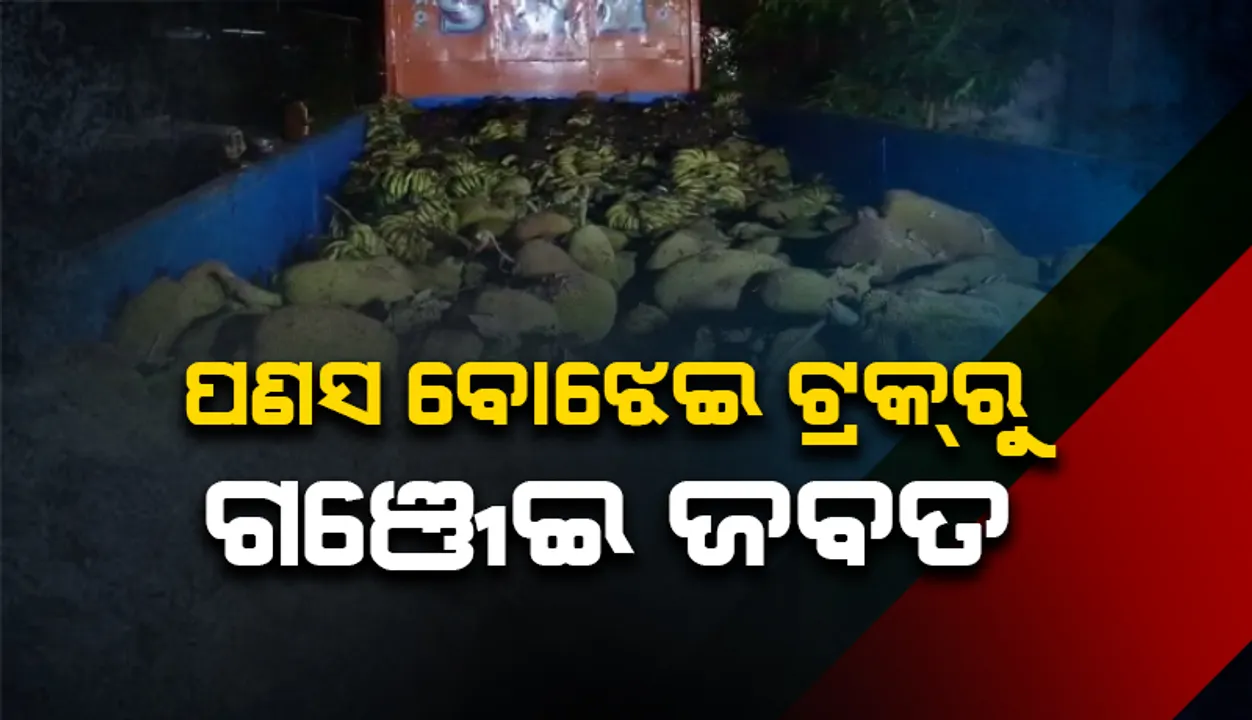  ପଣସ ବୋଝେଇ ଟ୍ରକରେ ଚୋରା ଚାଲାଣ ହେଉଥିବା ବେଳେ କୋଟିଏରୁ ଅଧିକ ଟଙ୍କାର ଗଞ୍ଜେଇ ଜବତ
