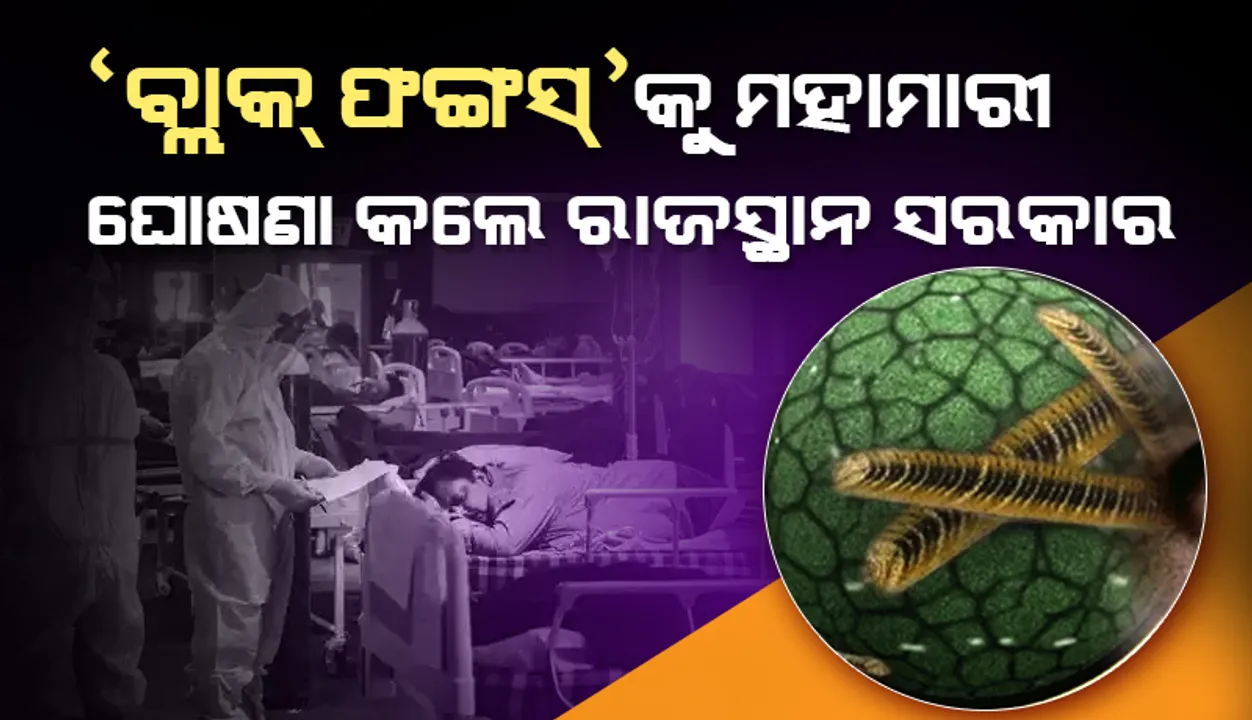  ୧୦୦ ଜଣ ସଂକ୍ରମିତ ଚିହ୍ନଟ ହେବା ପରେ ‘ବ୍ଲାକ ଫଙ୍ଗସ୍’ କୁ ମହାମାରୀ ଘୋଷଣା କଲେ ରାଜସ୍ଥାନ ସରକାର