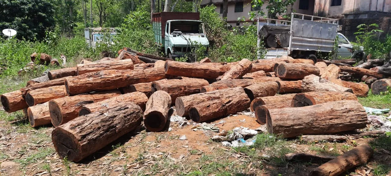  ପ୍ଲାଷ୍ଟିକ୍‌ ଆବର୍ଜନା ବସ୍ତା ତଳେ ଚୋରା କେନ୍ଦୁକାଠ ଚାଲାଣ