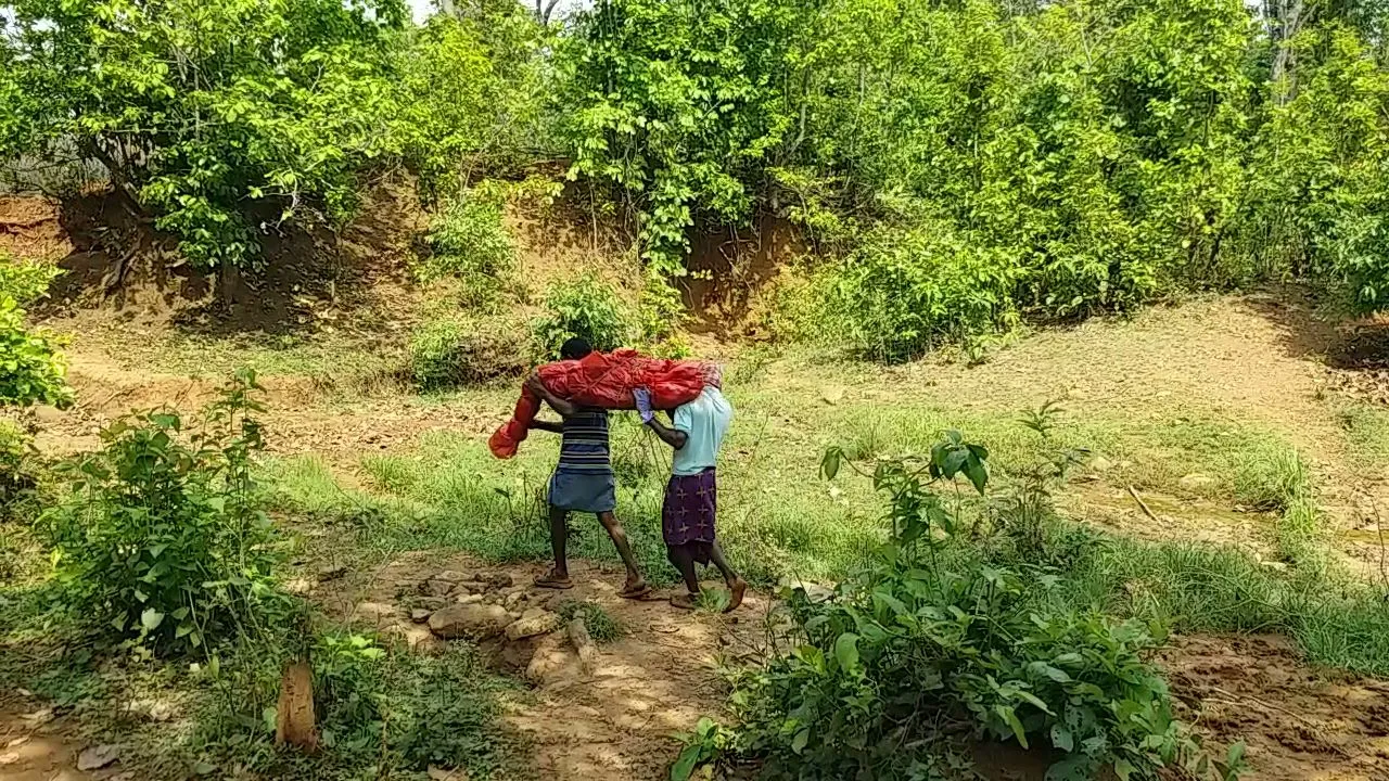  ଗୁଣିଗାରେଡ଼ି ସନ୍ଦେହରେ ବୃଦ୍ଧାଙ୍କୁ ହତ୍ୟା, ୧୭ ଦିନ ପରେ ମାଟି ତଳୁ ଶବ ଉଦ୍ଧାର, ଅଭିଯୁକ୍ତ ଥାନାରେ ଅଟକ
