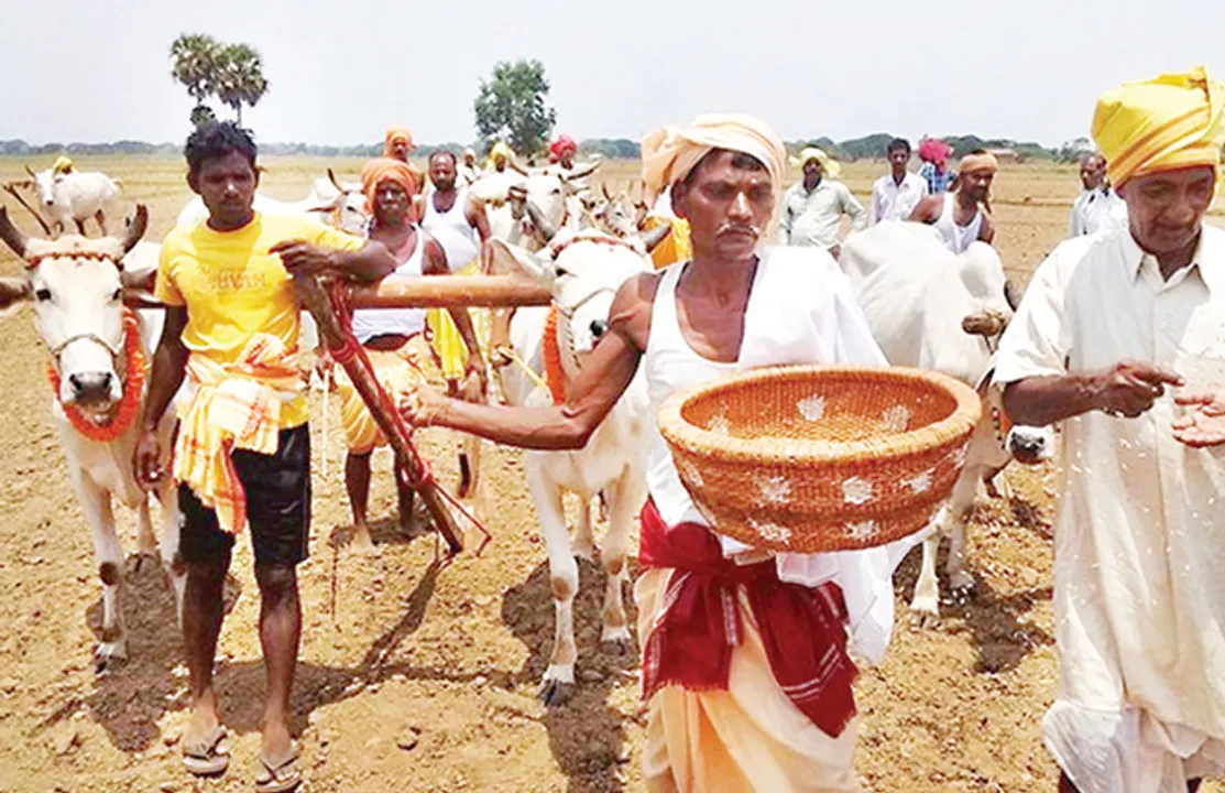  ଆଜି ଅକ୍ଷୟତୃତୀୟା: ଭାଷଣବାଜିରେ ଚାଲିଛି କୃଷି ପ୍ରସ୍ତୁତି!