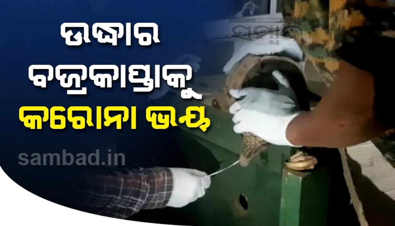  ପରୀକ୍ଷା ନିମନ୍ତେ ନିଆଗଲା ବଜ୍ରକପ୍ତାର ସ୍ବାବ୍, ଧରିଥିବା ଅଭିଯୁକ୍ତ ଚିହ୍ନଟ ହୋଇଥିଲା କରୋନା ଆକ୍ରାନ୍ତ