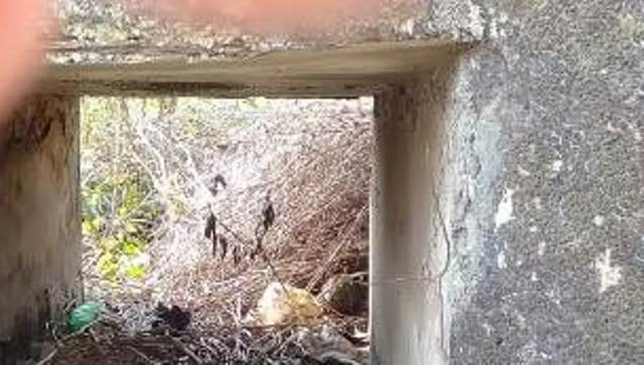  ବ୍ରିଜ୍‌ ତଳୁ ଅର୍ଦ୍ଧଦଗ୍ଧ ଗଳିତ ଶବ ଉଦ୍ଧାର, ହତ୍ୟା ସନ୍ଦେହ