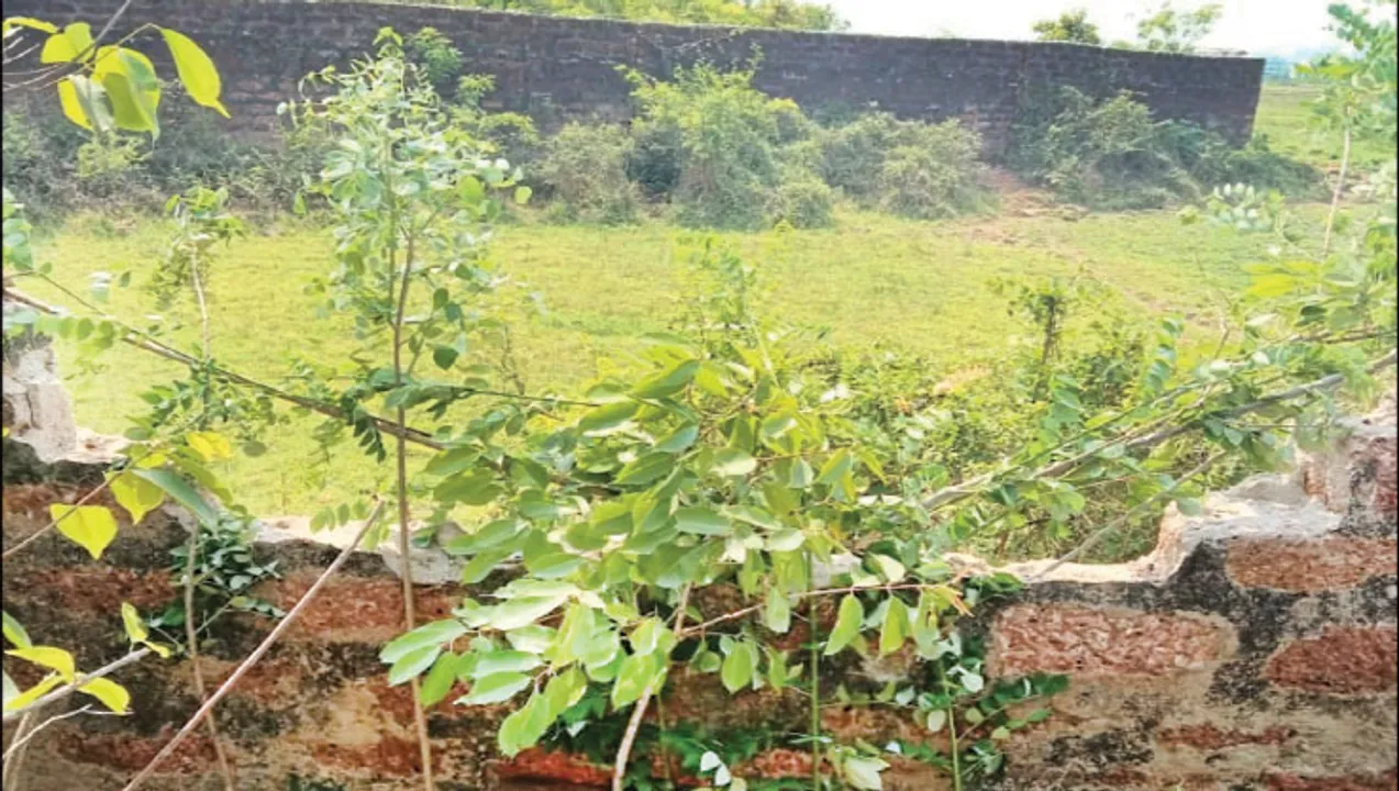  ଲୁଚକାଳି ଖେଳୁଛନ୍ତି ଚନ୍ଦକା ହାତୀ, ନାକେଦମ୍‌ ନନ୍ଦନକାନନ କର୍ମଚାରୀ