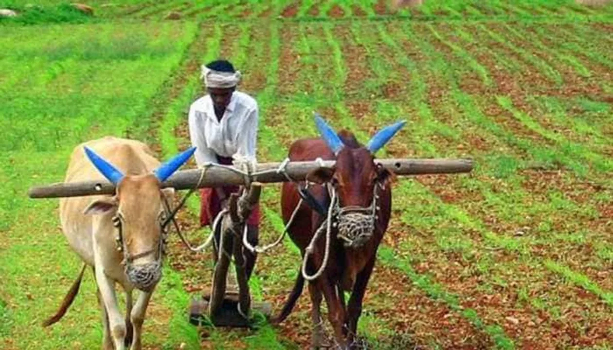  Image Courtesy of Zee News 