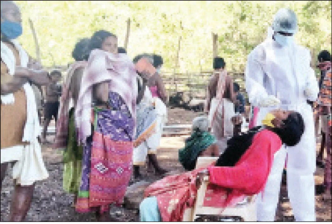  ଟେଷ୍ଟ୍‌ ପାଇଁ ଆଗେଇଆସିଲେ ଡଙ୍ଗରିଆ, ୬୨ ଜଣଙ୍କ ଆର୍‌ଟିପିସିଆର୍‌ ଟେଷ୍ଟ୍‌