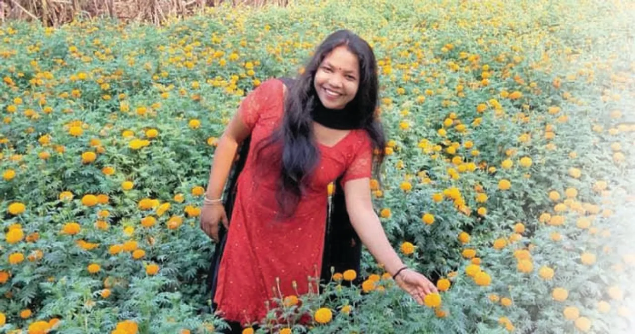  ଇଞ୍ଜିନିୟରିଂ ଛାତ୍ରୀଙ୍କ ଫୁଲ ଚାଷ: ଫୁଲ ଚାଷ କରି ସୁନିତା ସ୍ୱାବଲମ୍ବୀ