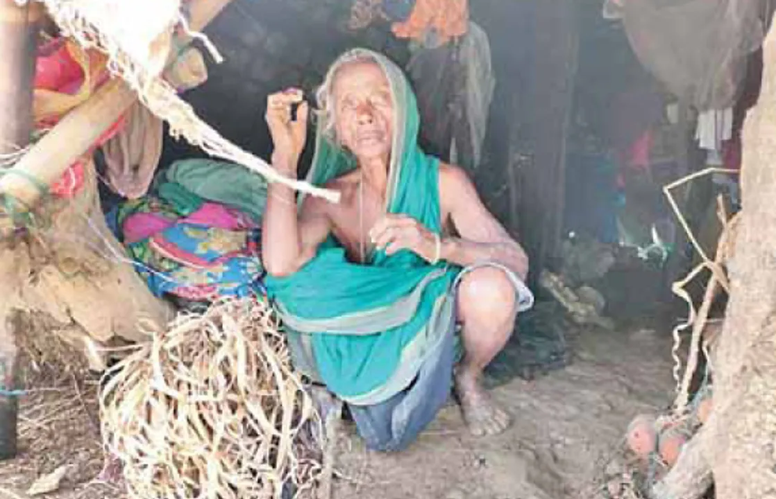  ରାଜନଗର: ଜୁଆର ଘେରରେ ହଜାରେ ପରିବାର