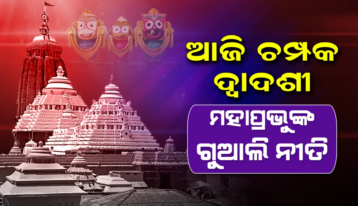  ଆଜି ପବିତ୍ର ଚମ୍ପକ ଦ୍ୱାଦଶୀ, ଶ୍ରୀମନ୍ଦିରରେ ମହାପ୍ରଭୁଙ୍କ ଗୁଆଲି ନୀତି