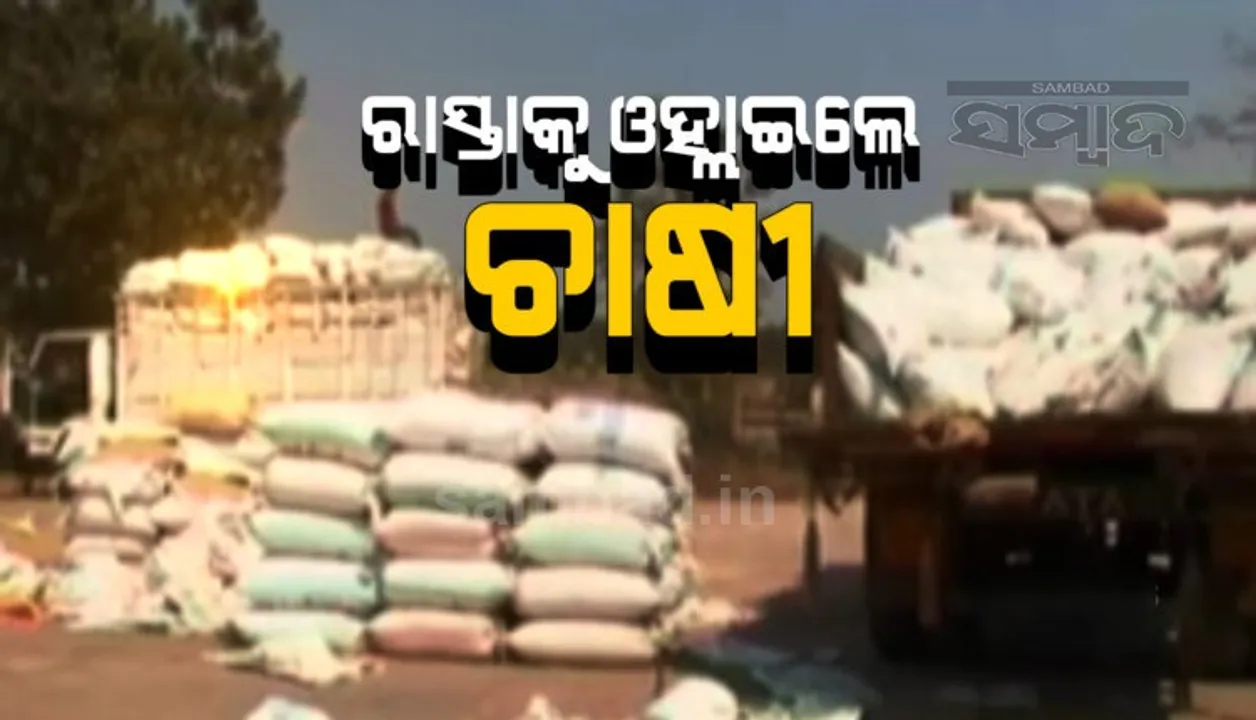  ଧାନ ବିକ୍ରି ଅଚଳାବସ୍ଥାକୁ ନେଇ ରାସ୍ତାକୁ ଓହ୍ଲାଇଲେ ଚାଷୀ,  ୮ଦଫା ଦାବିରେ ସୋନପୁର-ସମ୍ବଲପୁର ରାଜପଥ ଅବରୋଧ