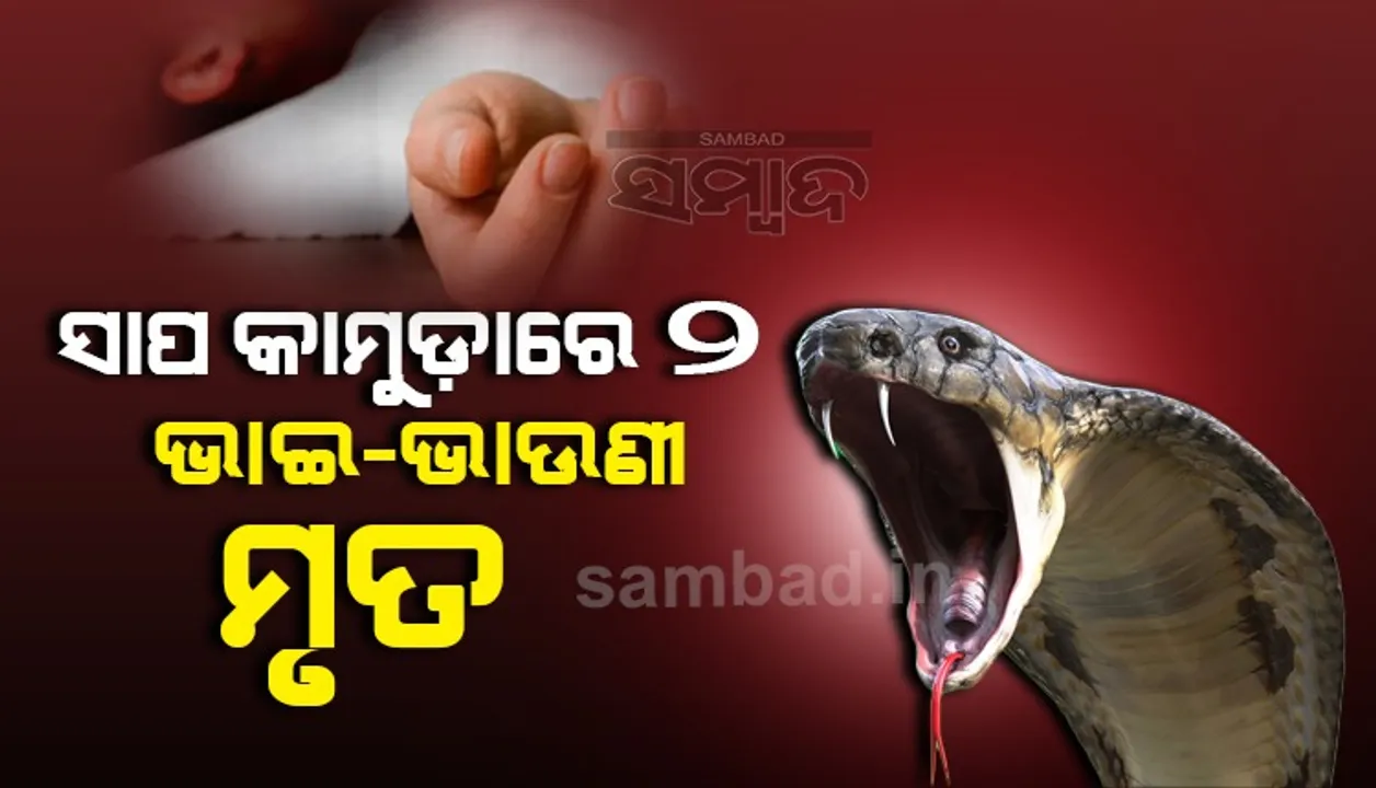  ବିଷାକ୍ତ ସାପ କାମୁଡ଼ାରେ ଗୋଟିଏ ରାତିରେ ଦୁଇ ଭଉଣୀଙ୍କ ମୃତ୍ୟୁ