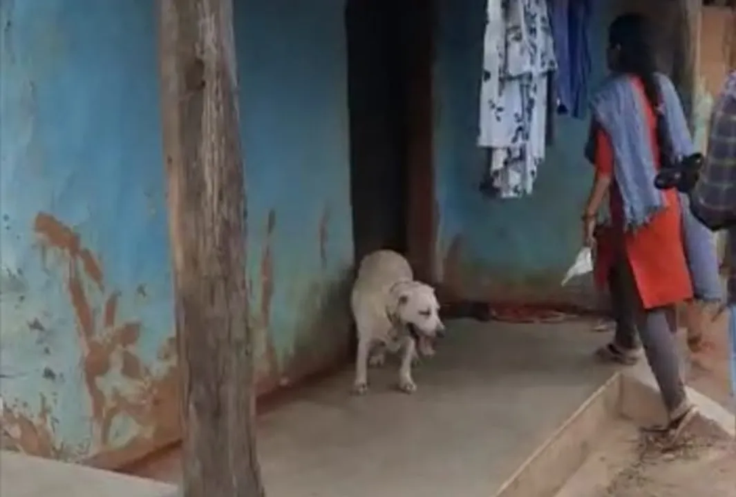  ବୃଦ୍ଧଙ୍କୁ ପିଟିପିଟ ମାରିବା ଘଟଣା: ହତ୍ୟାକାଣ୍ଡର ଖିଅ ଖୋଜୁଛି ପୁଲିସ୍ 