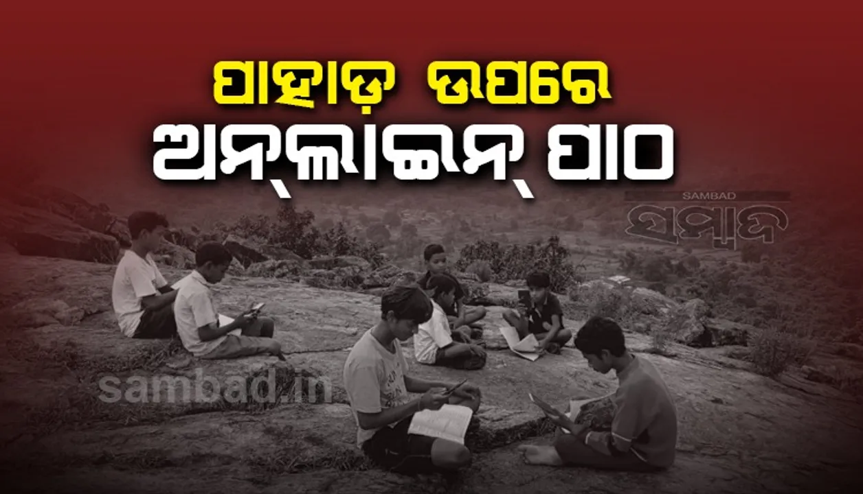  ଛାତ୍ରଛାତ୍ରୀଙ୍କ ଅନ୍‌ଲାଇନ୍‌ ପାଠପଢ଼ାର ମାଧ୍ୟମ ଏବେ ବଡ଼ଗଛ ଓ ପାହାଡ଼