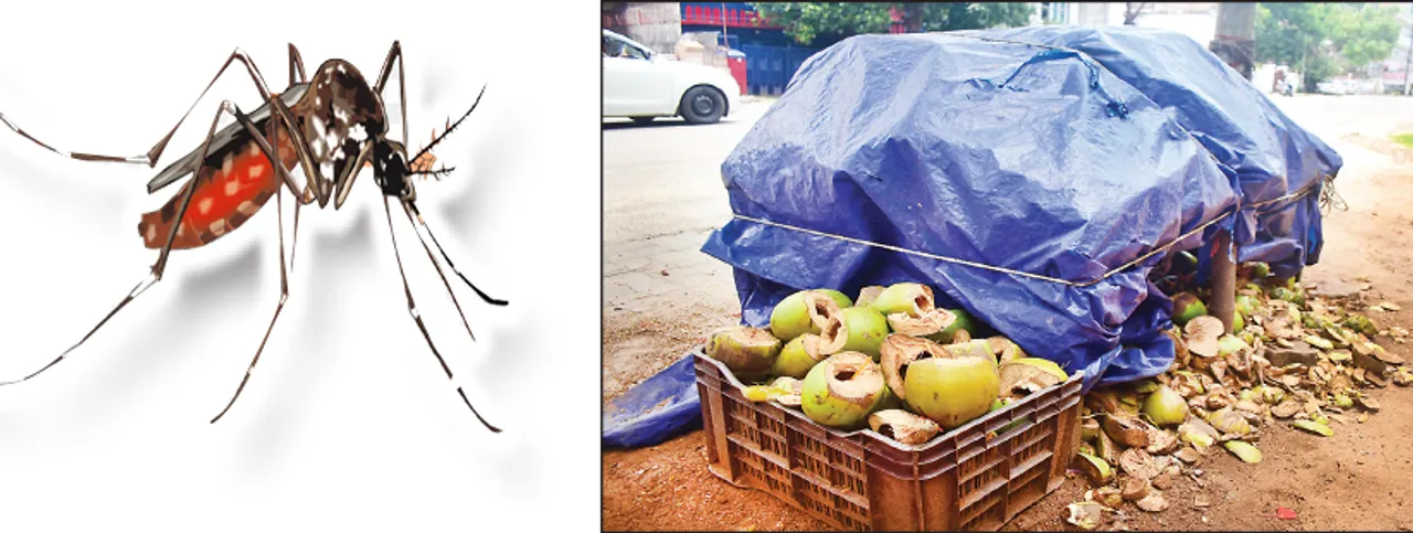  ‘ସମ୍ବାଦ’ ଗ୍ରାଉଣ୍ଡ ଜିରୋ: ଡେଙ୍ଗୁକୁ ଆମନ୍ତ୍ରଣ, ଆକ୍ରାନ୍ତଙ୍କ ସଂଖ୍ୟା ୫୫ ଡେଇଁଲା