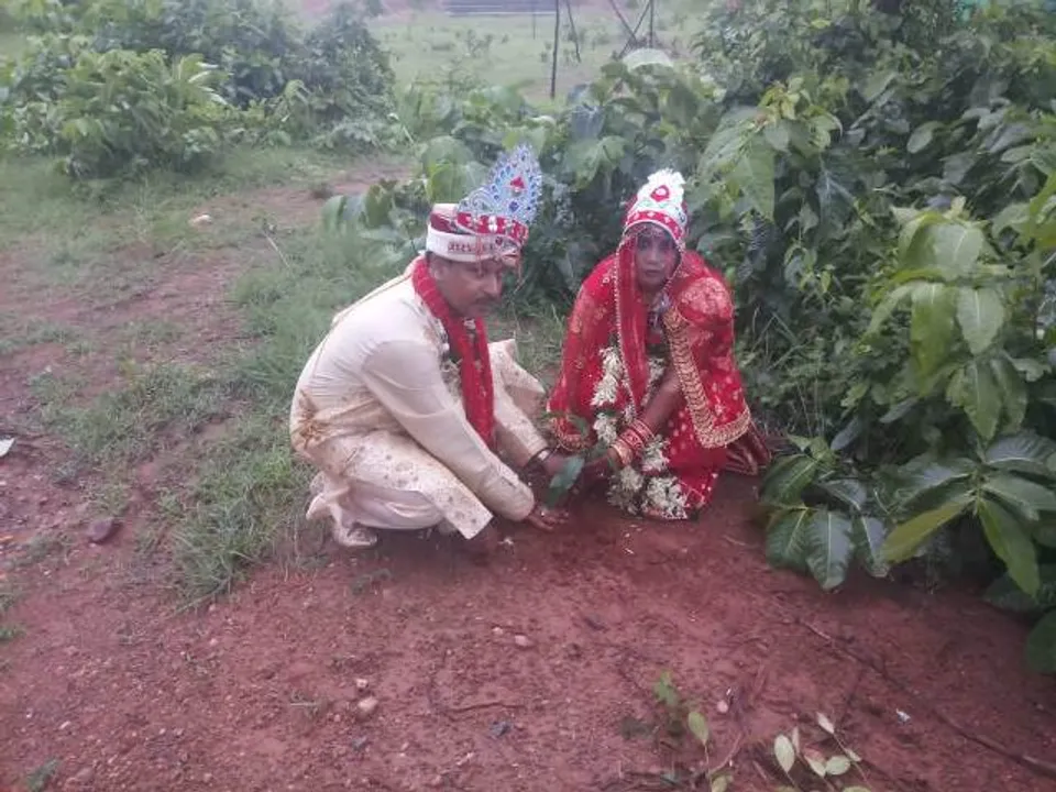  ନବବିବାହିତ ଶିକ୍ଷକ ଦମ୍ପତିଙ୍କ ନିଆରା ପ୍ରୟାସ: ପତିପତ୍ନୀ କଲେ ବୃକ୍ଷରୋପଣ
