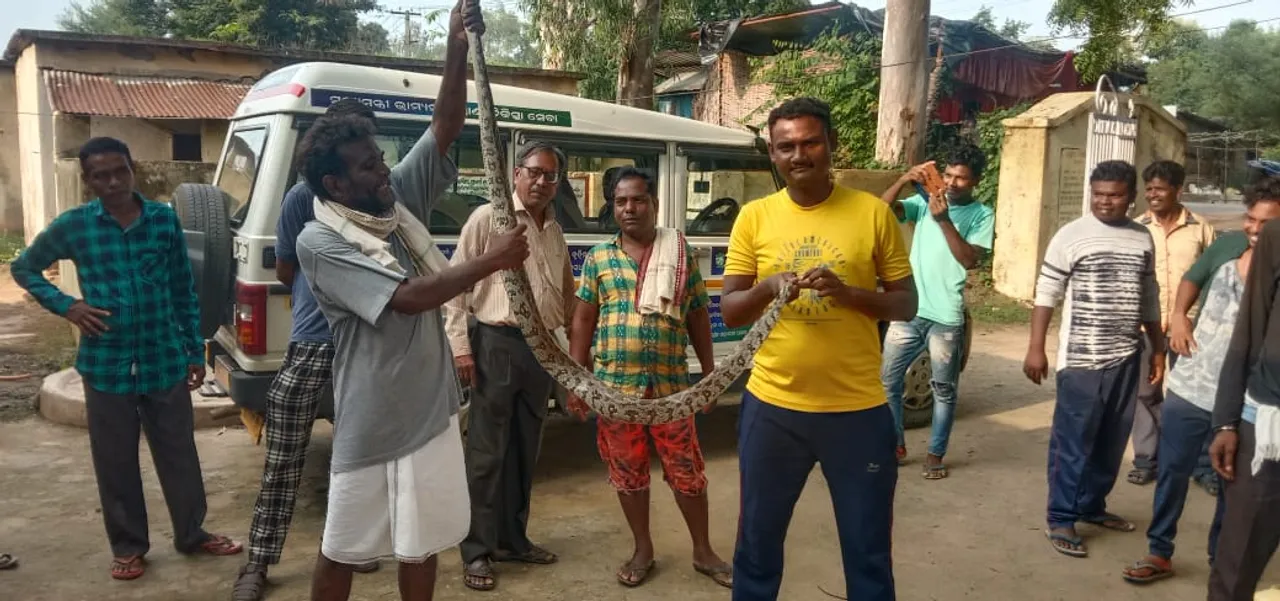  ଘର ଭିତରୁ ସାଢ଼େ ୬ ଫୁଟ୍‌ର ଅଜଗର ଉଦ୍ଧାର