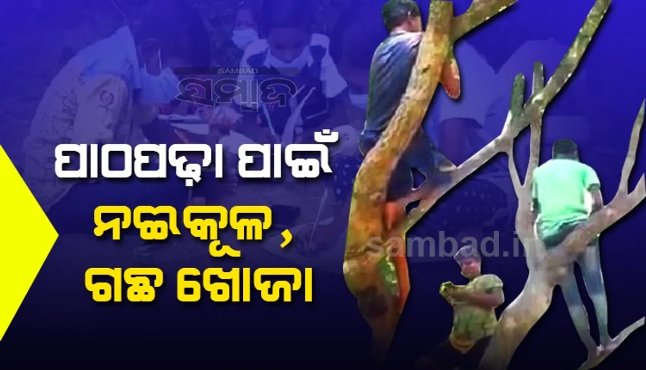  ସ୍ମାର୍ଟଫୋନ ଅଭାବ, ୟୁଟ୍ୟୁବ୍‌ ଲିଙ୍କ୍‌ କେ‌ମିତି ପାଇବେ ଛାତ୍ରଛାତ୍ରୀ?