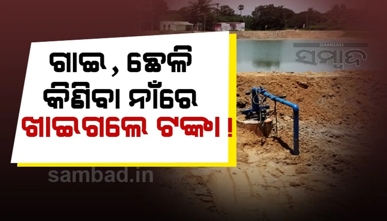  ‘ରାମଣାଖୋଲ’ ଜଳ ବିଭାଜିକା ଦୁର୍ନୀତି: ଖାଇଗଲେ ଗାଈ, ଛେଳି ଟଙ୍କା!
