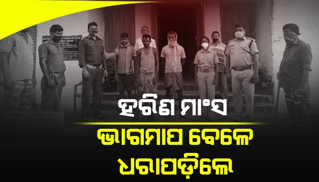  ହରିଣ ମାଂସ ଭାଗବଣ୍ଟା ବେଳେ ୩ ଶିକାରୀ ଗିରଫ, ମାଂସ-ଚମଡ଼ା ଓ ଦେଶୀ ବନ୍ଧୁକ ଜବତ