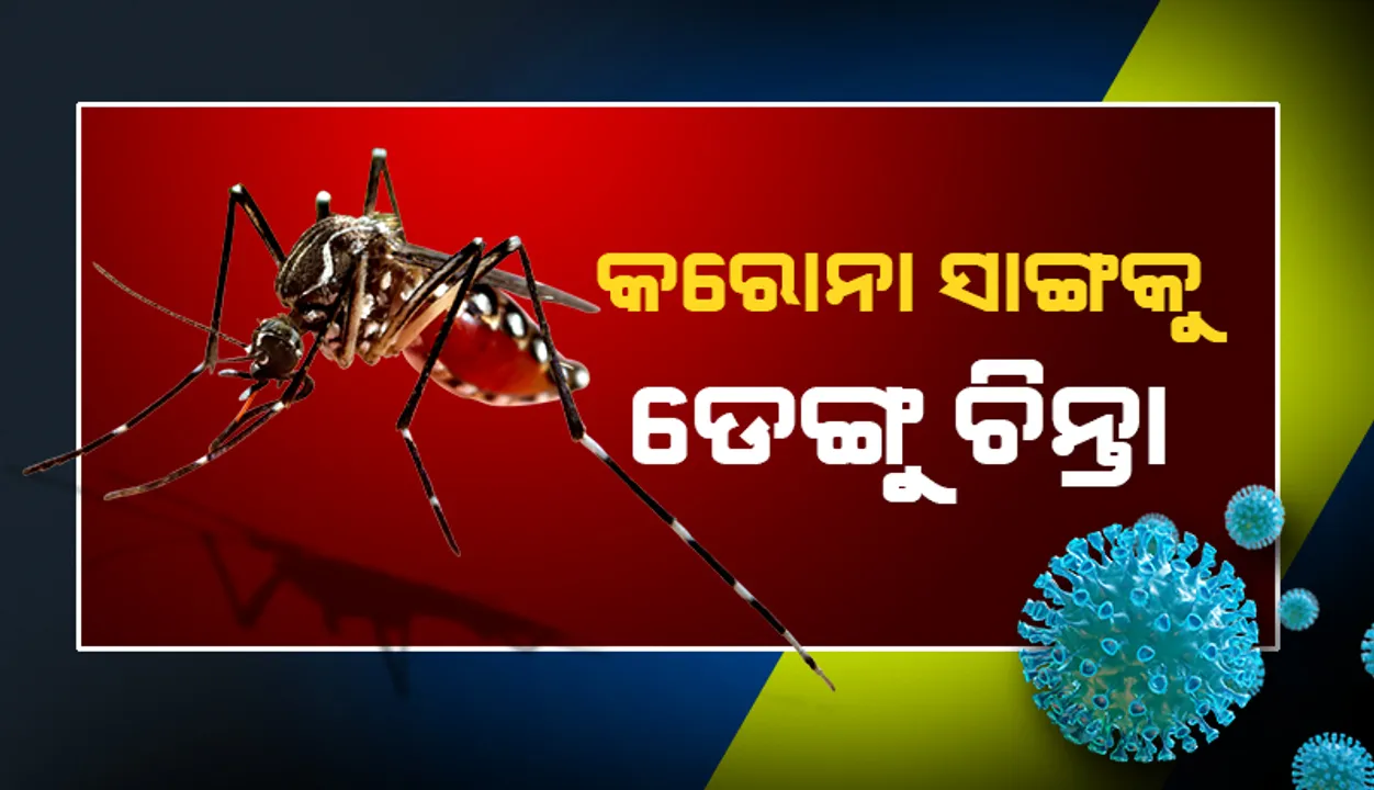  କରୋନା ସାଙ୍ଗକୁ ଡେଙ୍ଗୁ ଚିନ୍ତା; ଏସ୍‌ସିବିରେ ସ୍ବତନ୍ତ୍ର ୱାର୍ଡ ଖୋଲିବାକୁ ଯୋଜନା