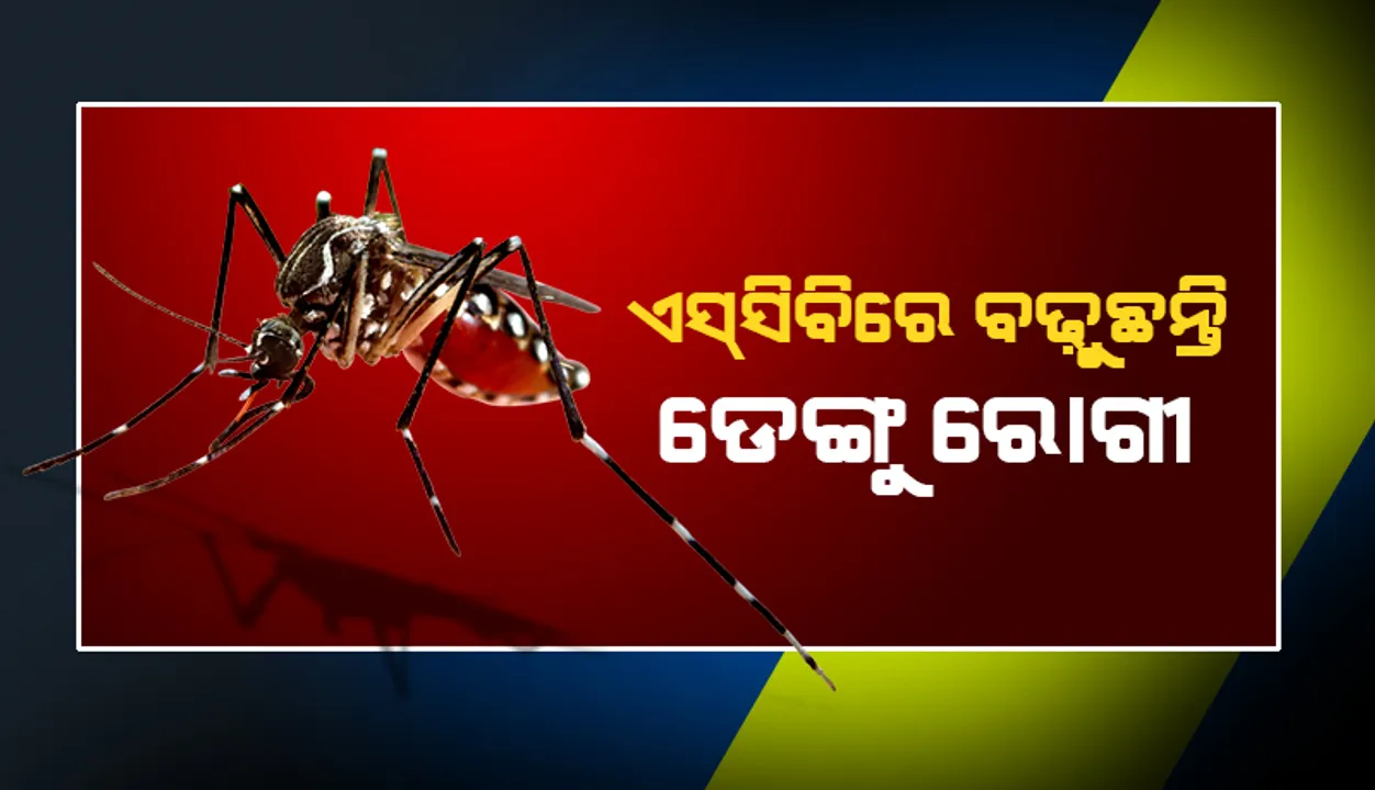 ଏସ୍‌ସିବିରେ ବୃଦ୍ଧି ପାଉଛି ଡେଙ୍ଗୁ ରୋଗୀଙ୍କ ସଂଖ୍ୟା