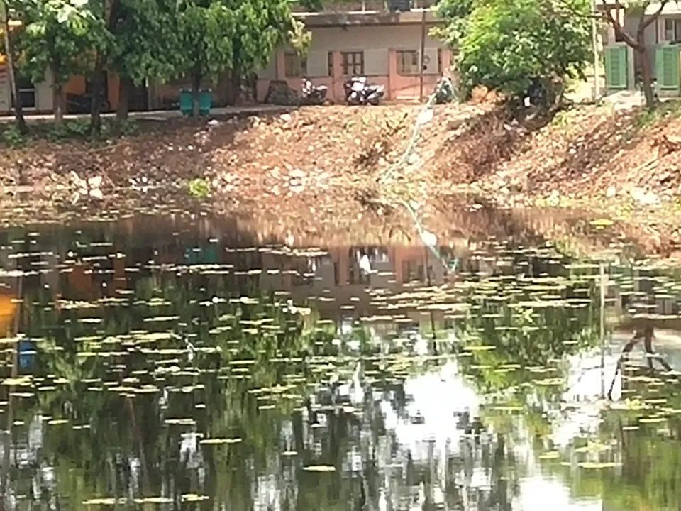  ମହାପ୍ରଭୁଙ୍କ ହେମସାଗର(ଚନ୍ଦନ) ପୁଷ୍କରିଣୀ ପୁନରୁଦ୍ଧାର କାର୍ଯ୍ୟର ସ୍ୱଚ୍ଛତାକୁ ନେଇ ପ୍ରଶ୍ନ ଉଠାଇଲା କଂଗ୍ରେସ: ପୌରନିର୍ବାହୀ ଅଧିକାରୀଙ୍କୁ ଦାବିପତ୍ର
