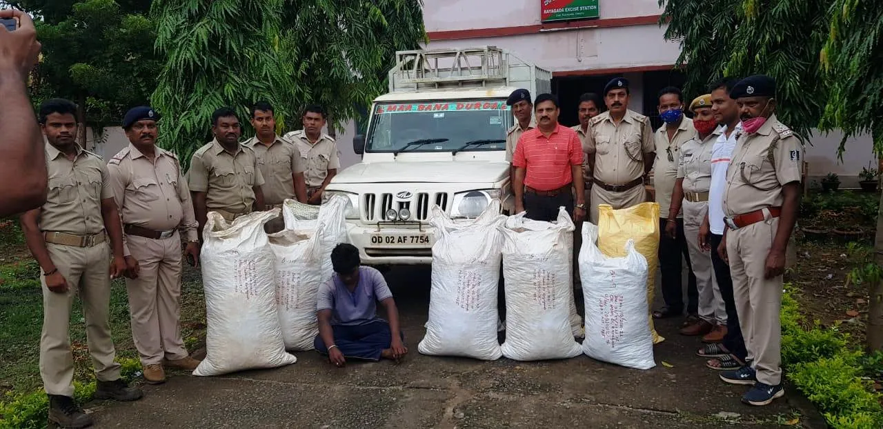  ବୋଲେରୋ ସହ ୨୫୮ କେଜି ଗଞ୍ଜେଇ ଜବତ, ଜଣେ ଗିରଫ 